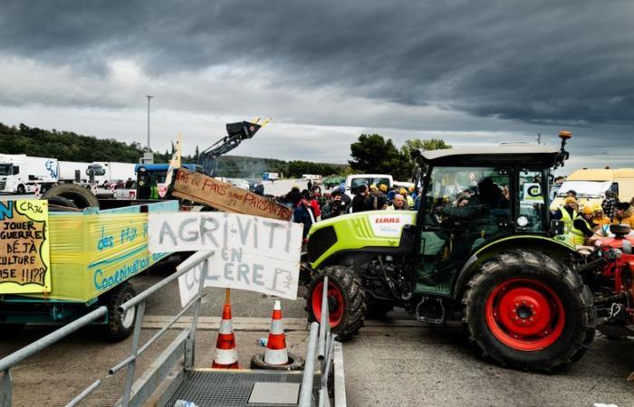 Verärgerte Bauern – Ende der LKW-Sperre an der französisch-spanischen Grenze: „Wenn die anderen Agrargewerkschaften gekommen wären, um uns abzulösen, hätten wir viel länger weitermachen können“