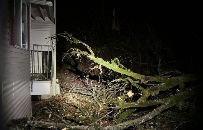 Tausende ohne Strom, da der Sturm starke Winde in den Westen Washingtons bringt