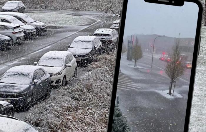 Winter im Rheintal: Wetterprognose und Temperaturrückgang