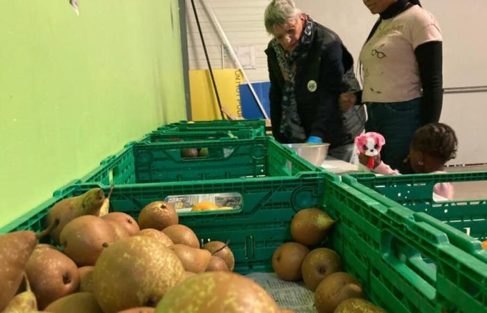 In ihrer 40. Kampagne richtet sich Les Restos du coeur an Kleinkinder