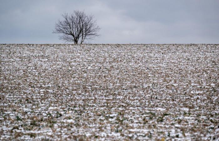 Was ist die kälteste Stadt in Frankreich?