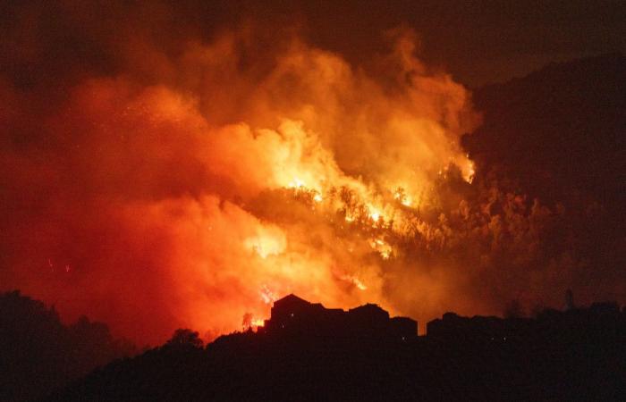 Bei einem durch heftige Winde verursachten Feuer in Pietra di Verde brannten rund zwanzig Hektar