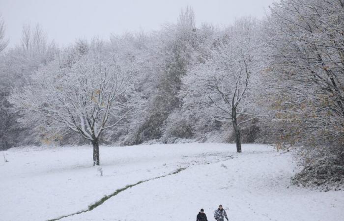 Was Sie über die kommende Snowy-Episode wissen müssen