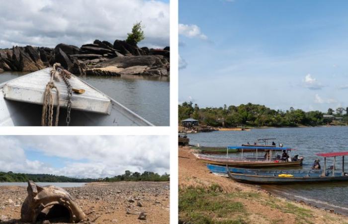 Mitten im Amazonas mangelt es einer französischen Stadt aufgrund des Klimawandels an Wasser und Nahrungsmitteln