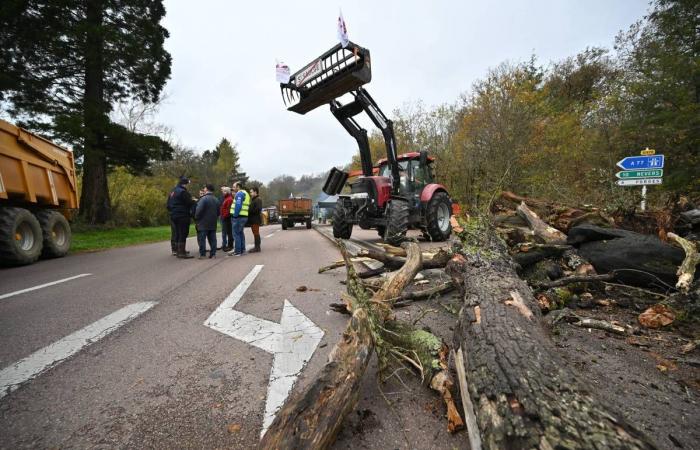 Demonstration wütender Bauern in Nièvre, Eröffnung des Prozesses gegen Pierre Palmade… Die unvergesslichen Nachrichten von diesem Mittwoch