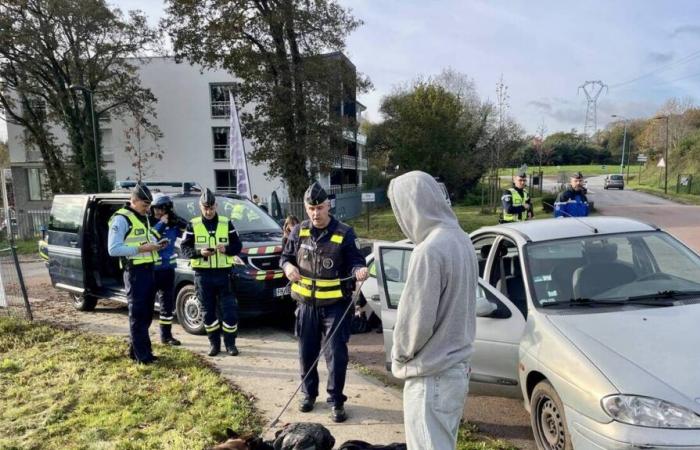 bereits 42 Todesfälle auf den Straßen von Morbihan seit Jahresbeginn