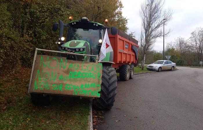 LIVE – Mindestens sechs Staudämme sind im Departement geplant… Erleben Sie die Mobilisierung wütender Bauern in Nièvre