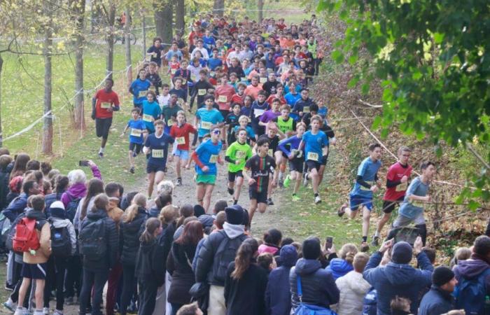 Entdecken Sie die Ergebnisse der Marne-Schulmeisterschaften im Langlauf