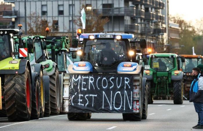 Warum ist Frankreich eines der wenigen EU-Länder, das gegen dieses Freihandelsabkommen ist?