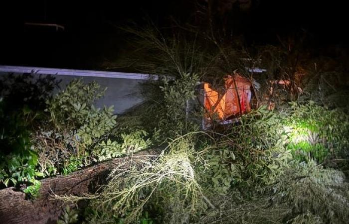 Ein tödlicher Bombenzyklon wütet mit heftigen Winden über der Gegend von Seattle und macht über 600.000 Menschen ohne Strom