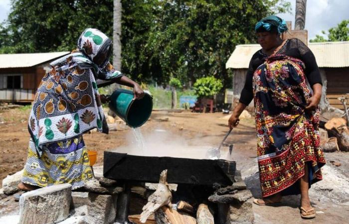 In Mayotte und Guyana gibt es sehr deutliche Unterschiede bei den Beschäftigungsquoten zwischen Frauen und Männern