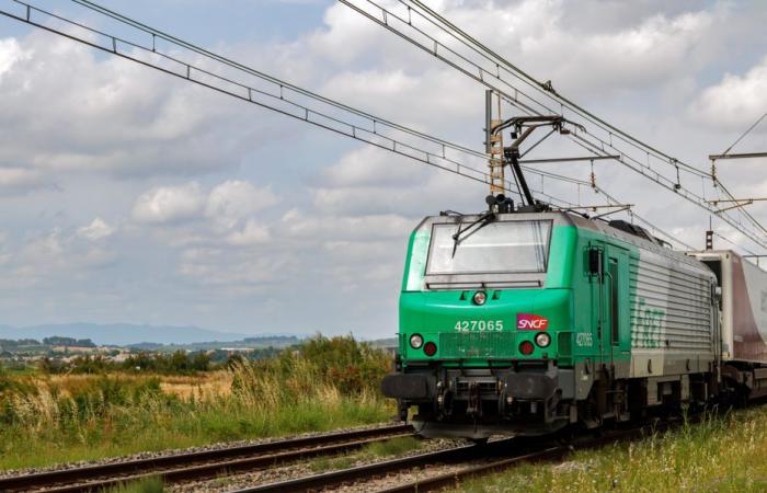 Ein 21-jähriger junger Mann starb, nachdem er auf einem Bahnübergang von einem Zug erfasst wurde