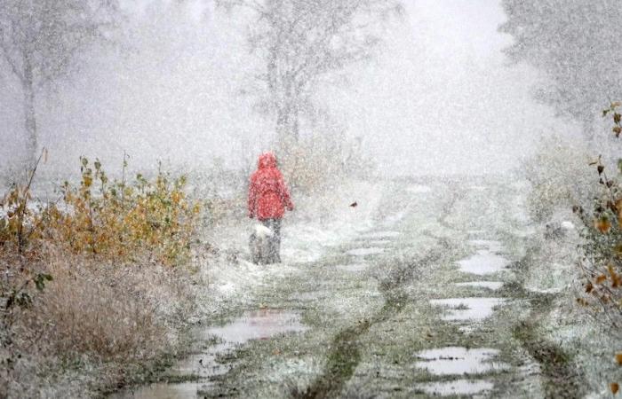 Der erste Schnee erzeugt einen weißen Teppich: Code Gelb für rutschige Bedingungen heute Nacht und heute Nacht während der ersten Wintereinspritzung in Flandern