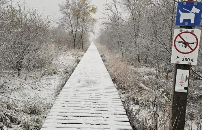 Wetter in Belgien: An diesem Mittwoch kehrte der Schnee zurück und wird heute Abend und in der Nacht stellenweise in Hülle und Fülle fallen