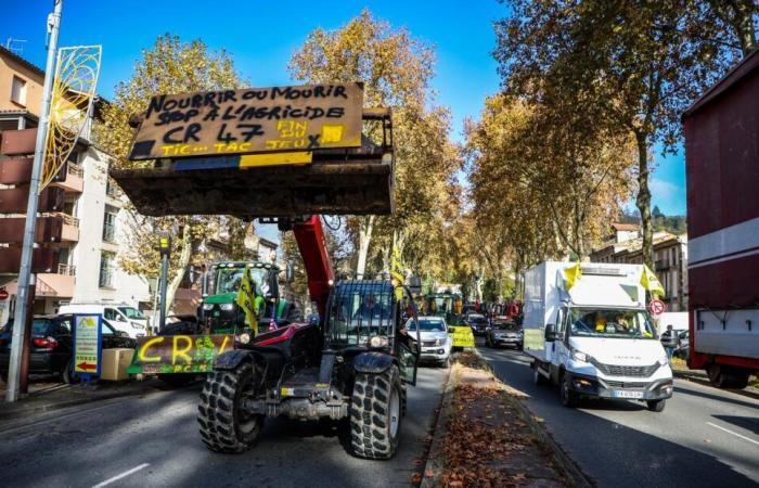 Wut der Bauern in Agen. Die Tschechische Republik will den Güterverkehr, die Einkaufszentren usw. blockieren. Und noch mehr, wenn es um Affinitäten geht?