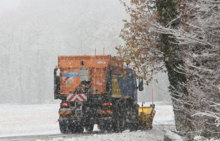 Schnee: bis zu 20 Zentimeter in der elsässischen Ebene erwartet