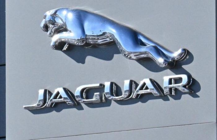 Jaguar wurde für sein neues „aufgewecktes“ Image ausgezeichnet