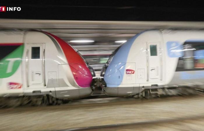 Streik bei der SNCF: Morgen kommt es in der Île-de-France zu Verkehrsstörungen, erfahren Sie die Prognosen