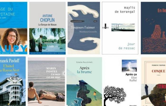 Zehn Romane für den 4. Trouville-Pavillon Augustine-Buchpreis ausgewählt