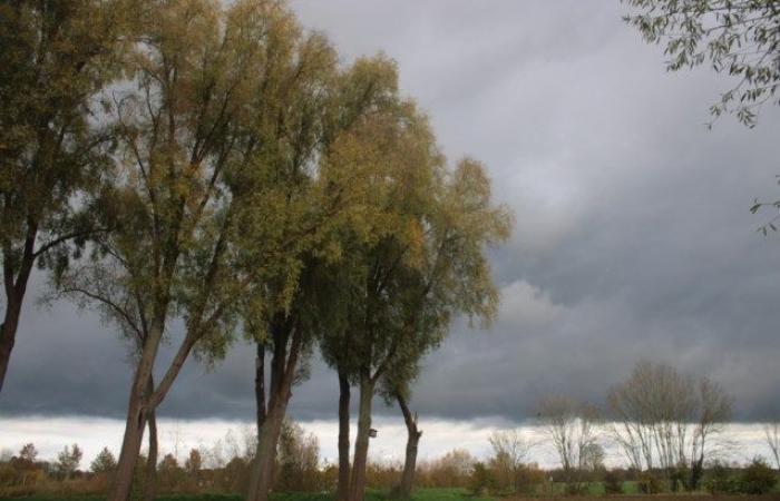 WETTERVORHERSAGE. Stellenweise winterliche Schauer, andernorts trocken und kalt