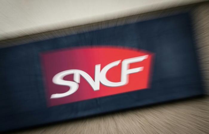 SNCF schlägt eine durchschnittliche Gehaltserhöhung von 2,2 % im Jahr 2025 vor – 20.11.2024 um 22:07 Uhr.