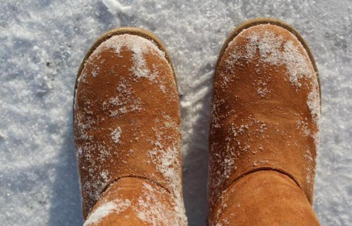 Die Wissenschaft dahinter zeigt bei Temperaturen über 32 Grad