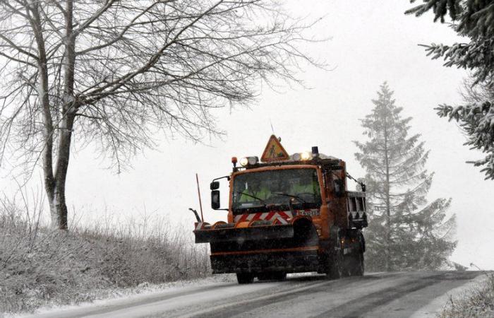 Wetter: Diese Regionen, in denen ab Donnerstag Schneefall in den Ebenen bestätigt wird, und diejenigen, in denen die Vorhersagen noch ungewiss sind