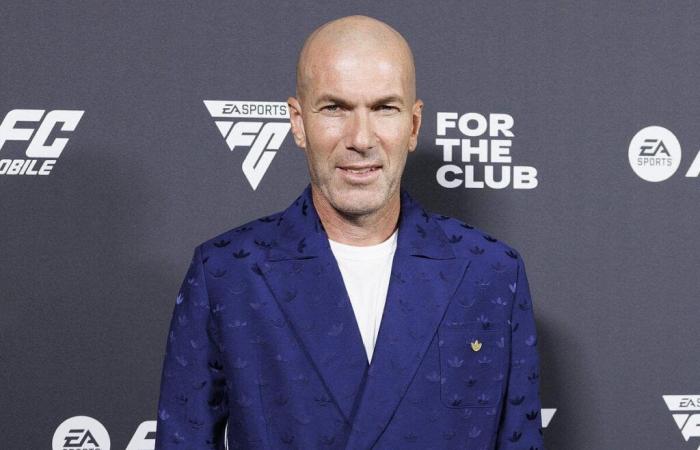 EdF: Zidane anstelle von Deschamps, er kündigt ein Fiasko an