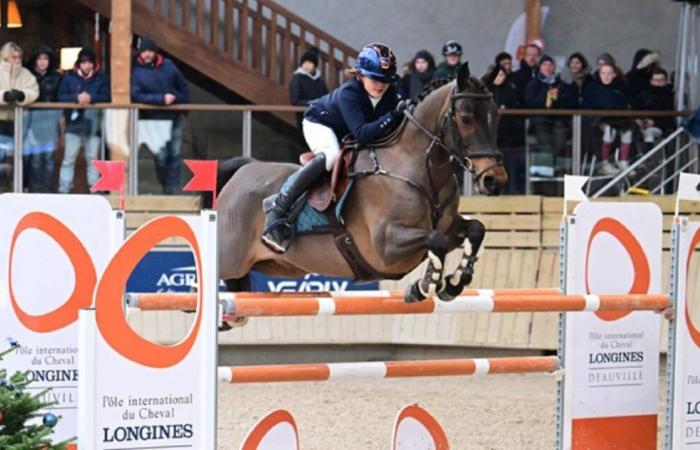 Rhinopneumonie zwingt das International Horse Centre, seinen nächsten Wettbewerb zu verschieben