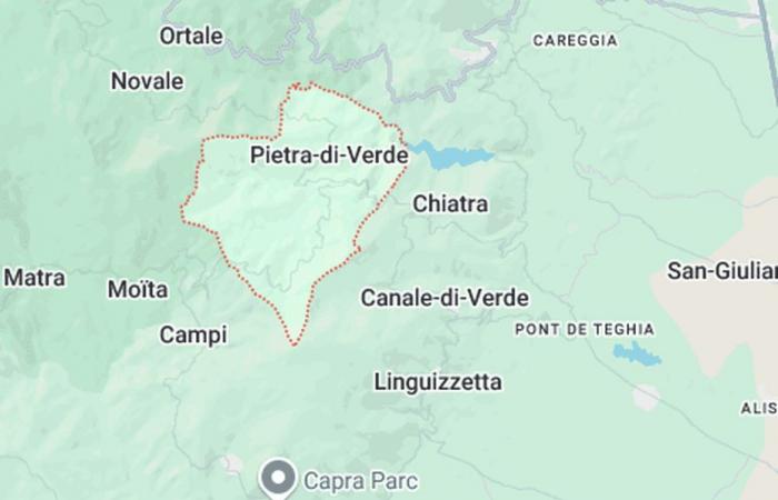 Ein Feuer zerstört 20 Hektar Vegetation in der Nähe des Dorfes Pietra-di-Verde