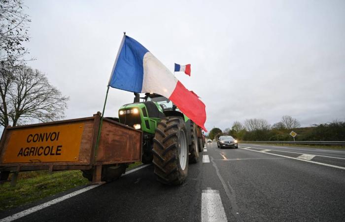 LIVE – Mindestens sechs Staudämme sind im Departement geplant… Erleben Sie die Mobilisierung wütender Bauern in Nièvre