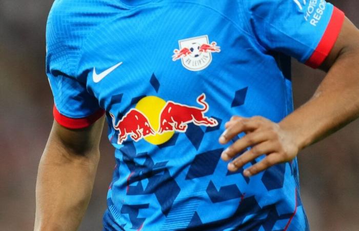 Paris FC – Ist die Ankunft von Red Bull in der Ligue 2 der Einstieg des Wolfes?