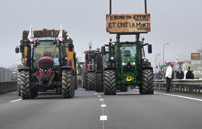 Wut der Landwirte: Demonstrationen, Filterung … Was Landwirte im Westen von Toulouse planen