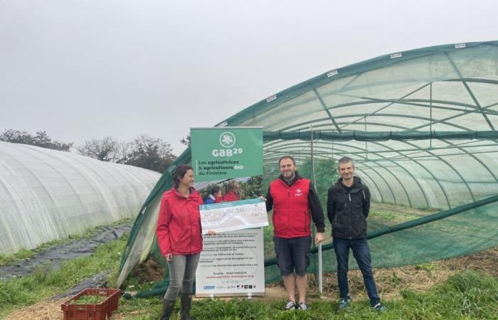 Ein Jahr nach dem Sturm Ciaran habe sich „nichts geändert“, beklagt die GAB von Finistère