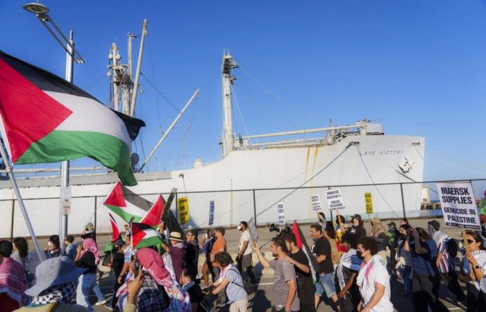 auf der Route der Containerschiffe, Widerstand gegen Waffenlieferungen an Israel