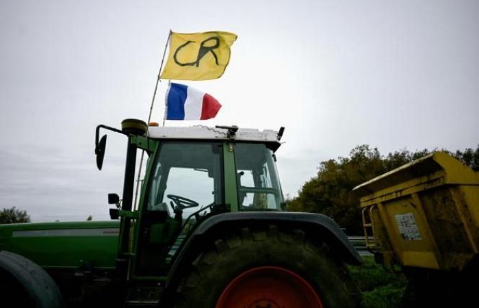 Freigabe des Hafens von Bordeaux am Freitag angekündigt; Einkaufszentren in Charente, Lot-et-Garonne, Landes und Tarn weiterhin blockiert