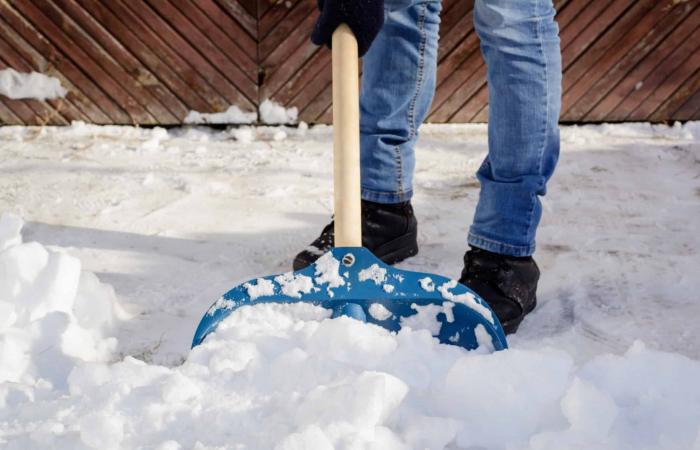 Müssen Sie Ihre Einfahrt mit dem ersten Schnee einstreuen? Alternativen zum Schutz Ihres Bodens – Masculin.com