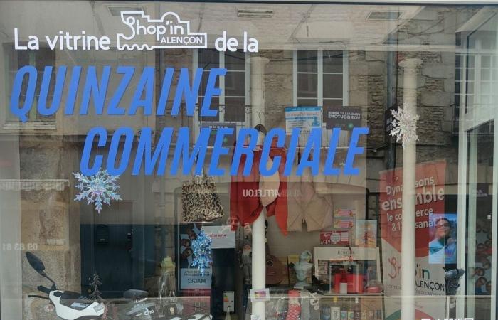 Möchten Sie Tausende von Euro gewinnen? Schätzen Sie den Preis dieser Vitrine in Alençon