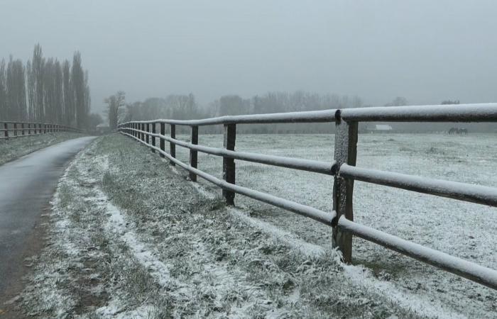 Am Eiffelturm, im Schloss Versailles… Bilder der Île-de-France unter dem Schnee