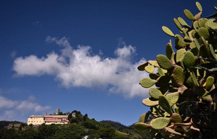 Ein Dorf auf Sardinien bietet Ein-Dollar-Häuser … für Amerikaner, die vor Trump fliehen wollen