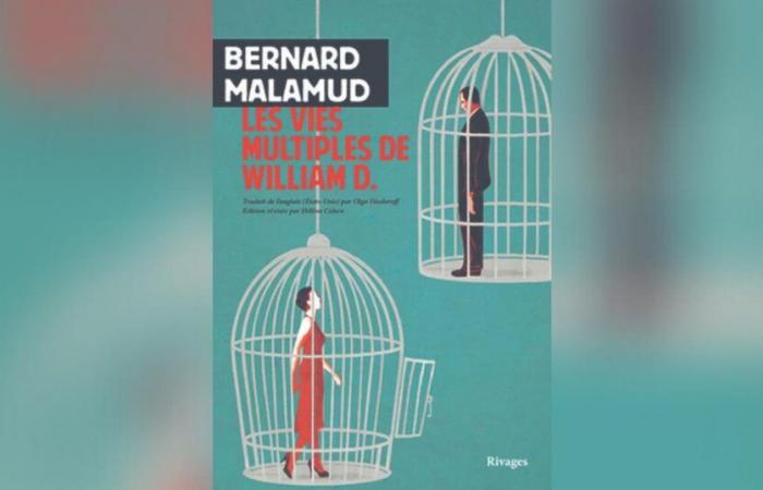 Die vielen Leben von William D. von Bernard Malamud: The Evening Rise