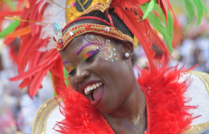 Die Guadeloupe-Inseln gehen auf dem kanadischen Markt in die Offensive