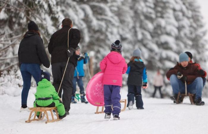 Schnee im Harz: Aber Tourismusverband rät vom Rodeln ab | News