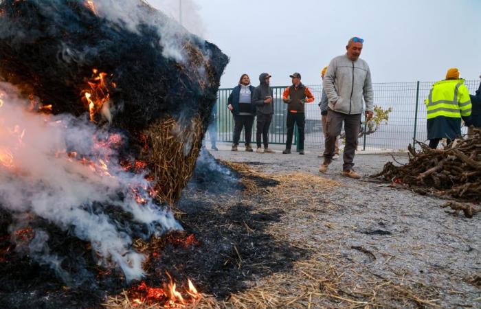 die für diesen Freitag in der Provence geplanten Aktionen