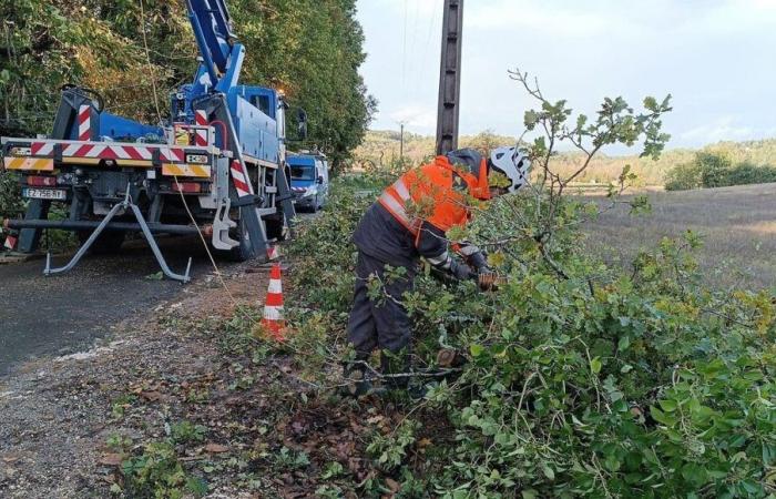 Gelber Alarm in der Dordogne: 10.000 Haushalte haben keinen Strom mehr, mehrere Bäume fielen auf die Straßen