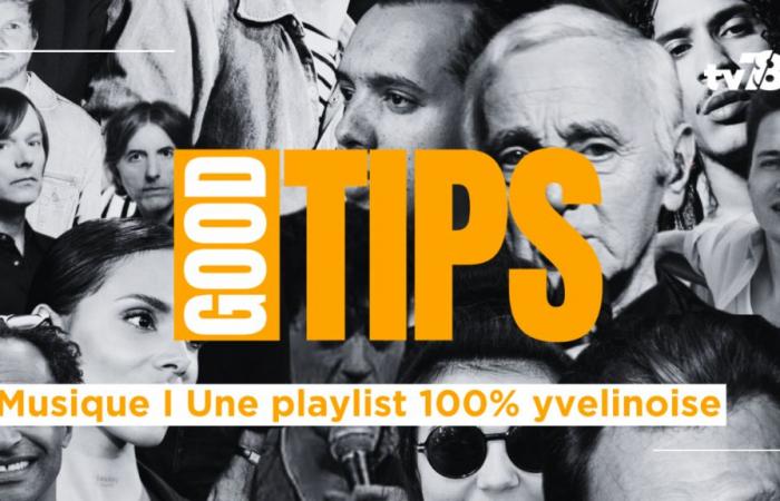 Die Playlist von Yvelines I Aznavour, Hoshi, Phoenix, La Fouine und den anderen