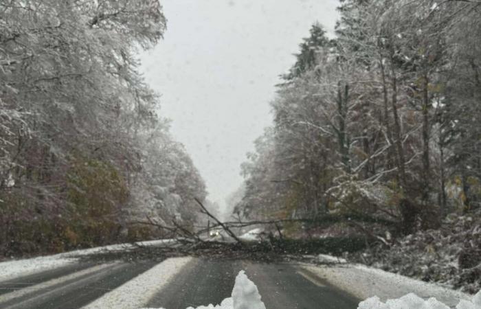 Verfolgen Sie die Straßenverhältnisse in Calvados in Echtzeit