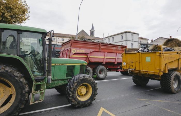 In Bordeaux braut sich Wut zusammen, andere Städte im Visier?