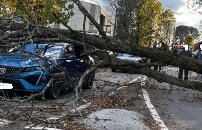 In der Loire-Atlantique hinterlässt der Sturm Caétano zehn Verletzte und sorgt für Verkehrschaos