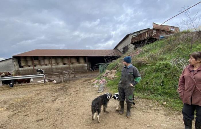 Haute-Loire. Auf diesem Bauernhof in Rosières „haben wir uns seit sechs Monaten keinen Lohn mehr gezahlt“